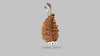 2 MUKHI RUDRAKSHA (21.55 mm) / 14.74 Ratti