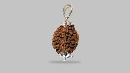 2 MUKHI RUDRAKSHA (25.01 mm) / 10.4 Ratti