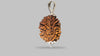 2 MUKHI RUDRAKSHA (28.98 mm)