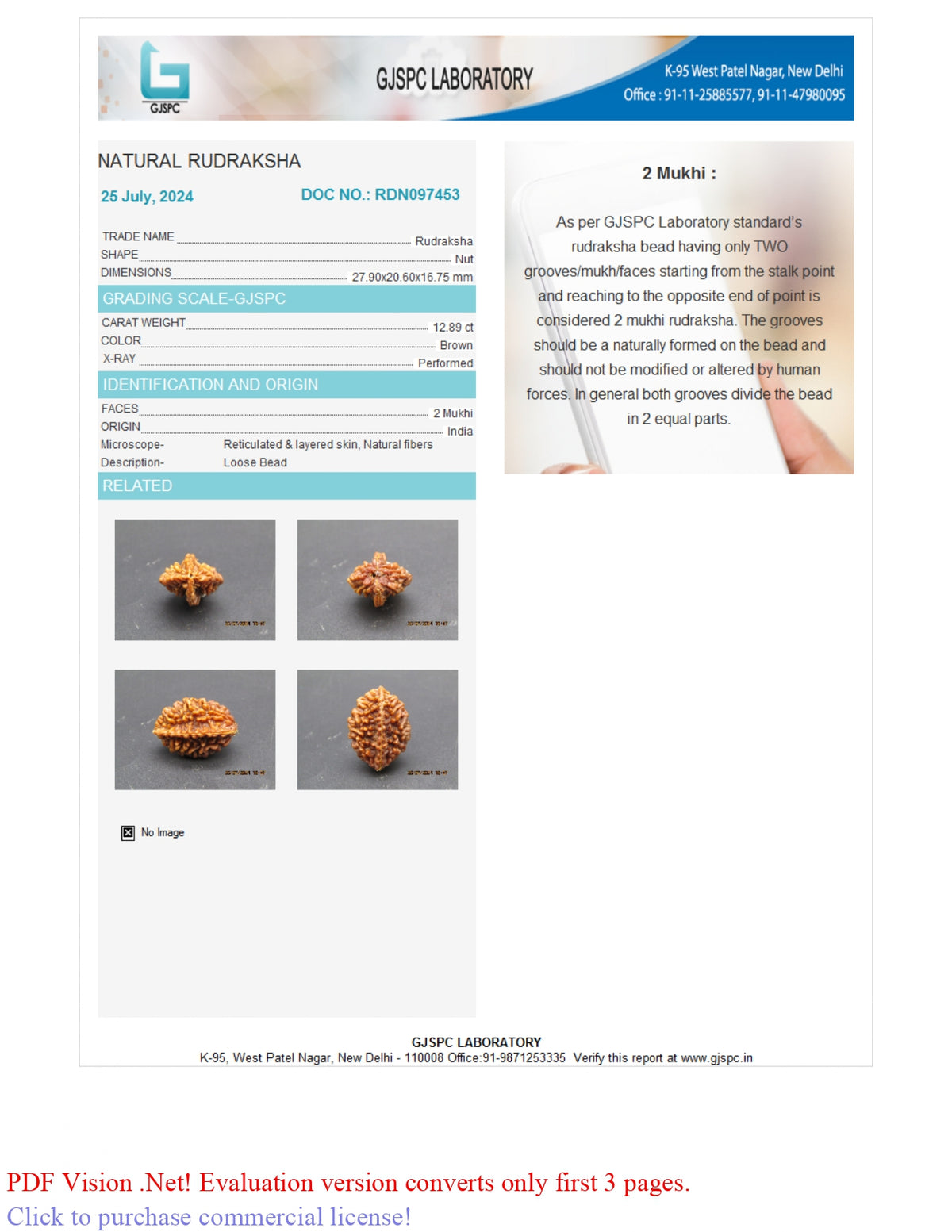 2 MUKHI RUDRAKSHA (27.90 mm)