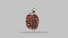 3 MUKHI RUDRAKSHA (22.07 mm) / 17.38 Ratti