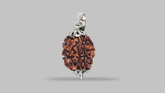 3 MUKHI RUDRAKSHA (22.07 mm) / 17.38 Ratti