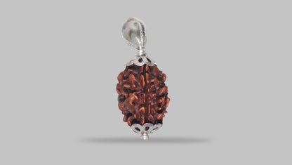 3 MUKHI RUDRAKSHA (22.31 mm) / 15.07 Ratti