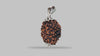 3 MUKHI RUDRAKSHA (22.47 mm) / 20.57 Ratti