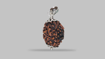 3 MUKHI RUDRAKSHA (22.47 mm) / 20.57 Ratti