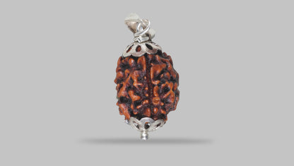 3 MUKHI RUDRAKSHA (20.81 mm) / 16.7 Ratti