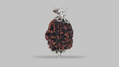 3 MUKHI RUDRAKSHA (21.47 mm) / 20.01 Ratti