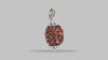 3 MUKHI RUDRAKSHA (21.40 mm) / 15.9 Ratti