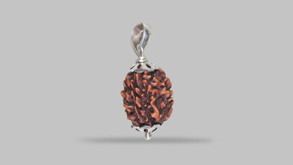 3 MUKHI RUDRAKSHA (21.40 mm) / 15.9 Ratti