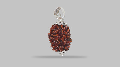 3 MUKHI RUDRAKSHA (20.80 mm) / 16.17 Ratti