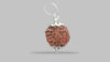6 MUKHI RUDRAKSHA (17.40 mm) / 11.83 Ratti