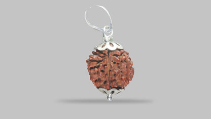 6 MUKHI RUDRAKSHA (17.40 mm) / 11.83 Ratti