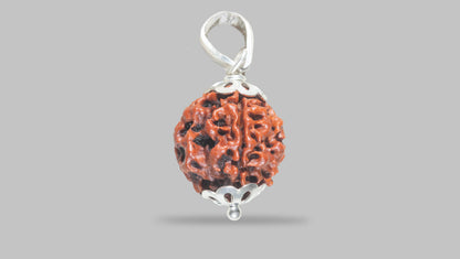 4 MUKHI RUDRAKSHA (18.80 mm) / 14.85 Ratti