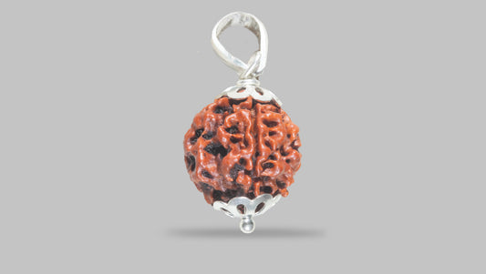 4 MUKHI RUDRAKSHA (18.80 mm) / 14.85 Ratti