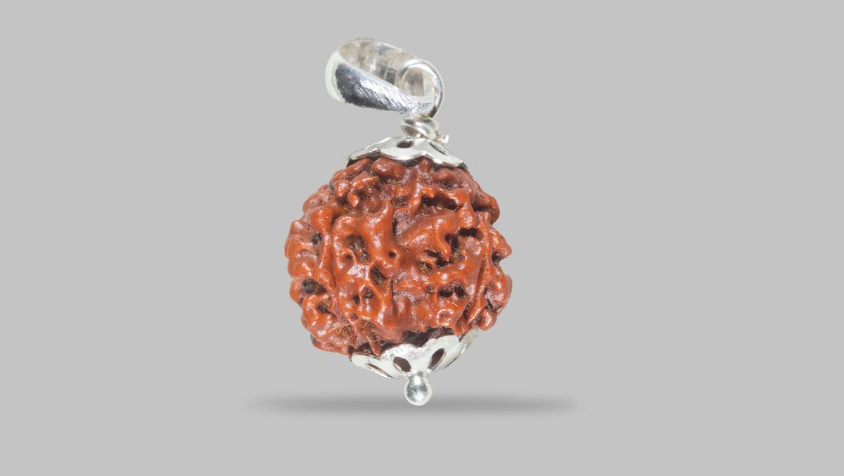 4 MUKHI RUDRAKSHA(18.92 mm) / 15.18 Ratti
