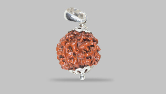 4 MUKHI RUDRAKSHA(18.92 mm) / 15.18 Ratti