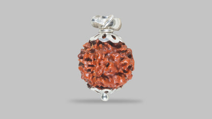 4 MUKHI RUDRAKSHA (17.36 mm) / 10.18 Ratti