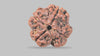 4 MUKHI RUDRAKSHA (20.47 mm) / 18.76 Ratti