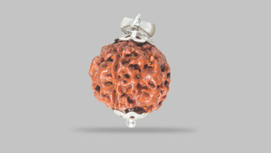 4 MUKHI RUDRAKSHA (20.52 mm) / 18.21 Ratti