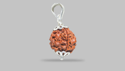 4 MUKHI RUDRAKSHA (17.30 mm) / 12.32 Ratti