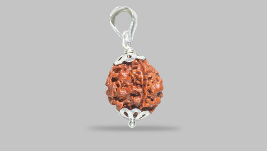 4 MUKHI RUDRAKSHA (17.30 mm) / 12.32 Ratti