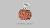 4 MUKHI RUDRAKSHA (17.87 mm) / 12.21 Ratti