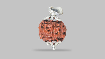 4 MUKHI RUDRAKSHA (17.87 mm) / 12.21 Ratti