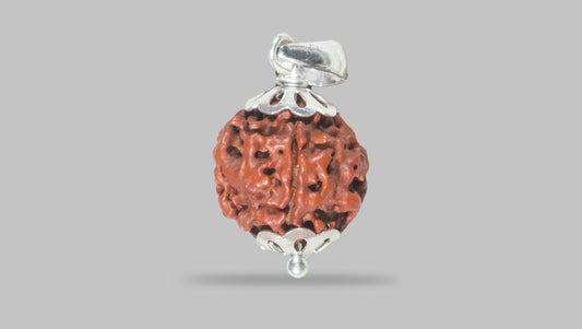 4 MUKHI RUDRAKSHA (17.87 mm) / 12.21 Ratti