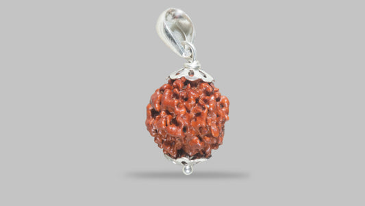 4 MUKHI RUDRAKSHA (18.00 mm) / 13.48 Ratti