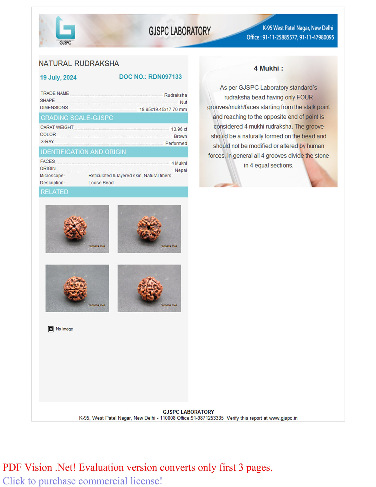 4 MUKHI RUDRAKSHA (18.85 mm) / 15.36 Ratti