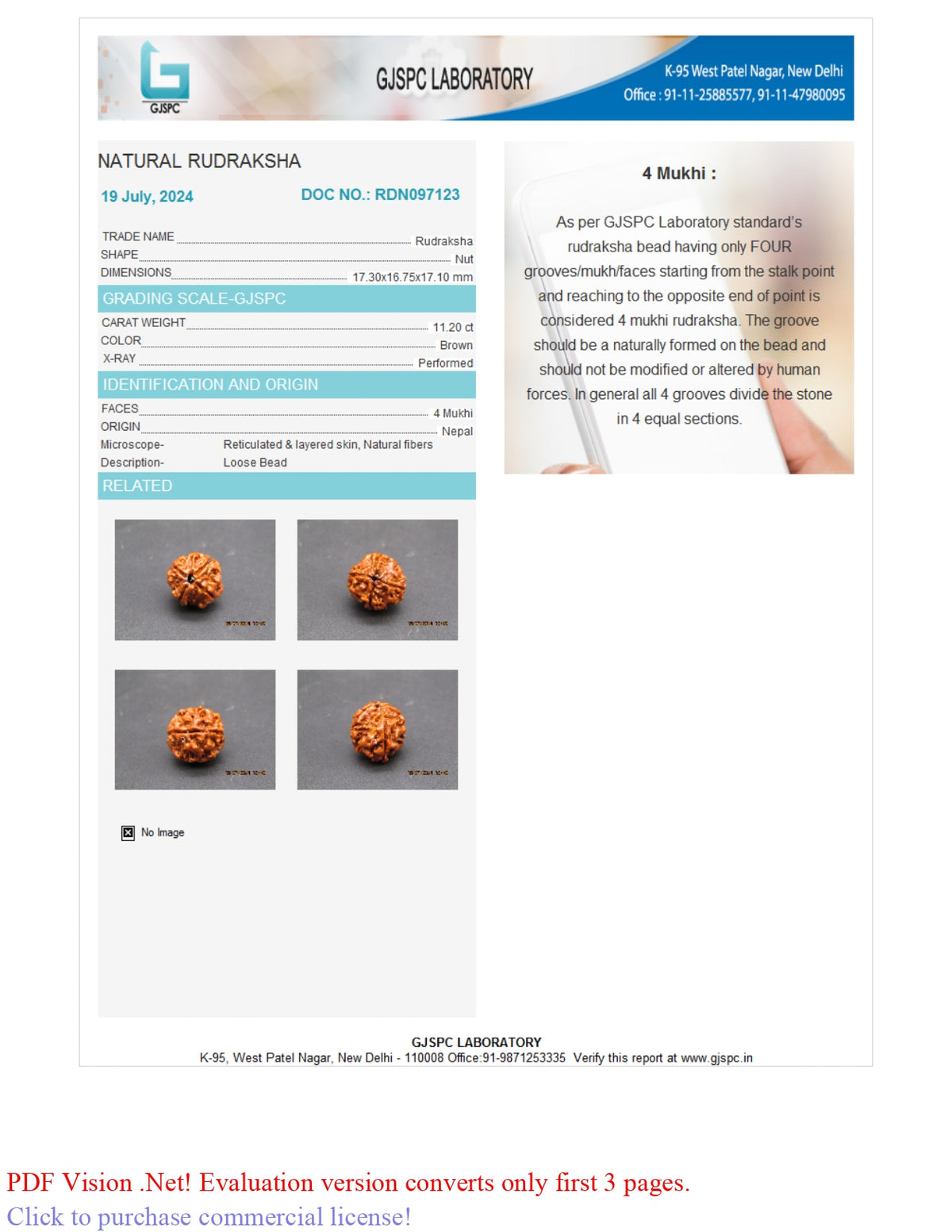 4 MUKHI RUDRAKSHA (17.30 mm) / 12.32 Ratti