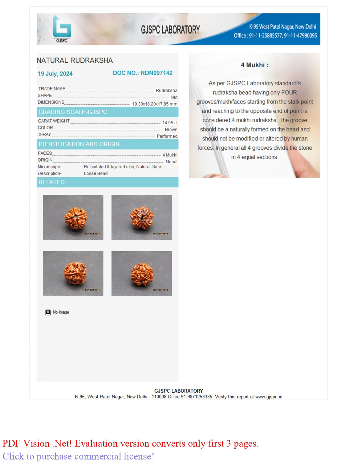 4 MUKHI RUDRAKSHA (19.30 mm) / 15.46 Ratti