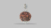 6 MUKHI RUDRAKSHA (20.65 mm)