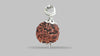 6 MUKHI RUDRAKSHA (18.00 mm)