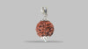 6 MUKHI RUDRAKSHA (20.30 mm)