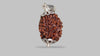 3 MUKHI RUDRAKSHA (21.57 mm)