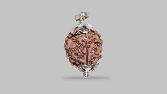 3 MUKHI RUDRAKSHA (21.31 mm)