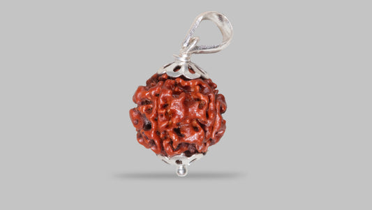 4 MUKHI RUDRAKSHA (19.60 mm)
