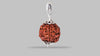4 MUKHI RUDRAKSHA (18.70 mm)