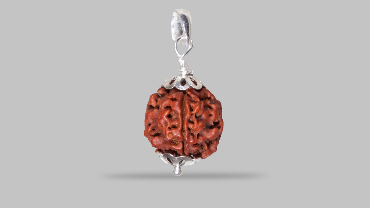4 MUKHI RUDRAKSHA (18.70 mm)