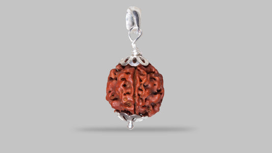 4 MUKHI RUDRAKSHA (18.70 mm)