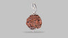 4 MUKHI RUDRAKSHA (19.05 mm)