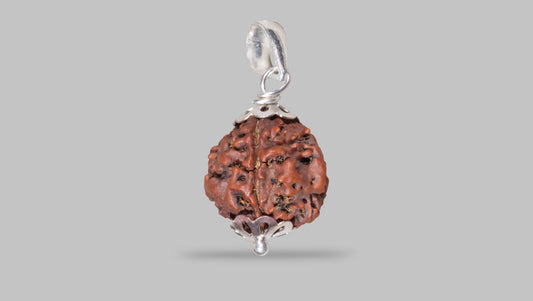 4 MUKHI RUDRAKSHA (19.05 mm)