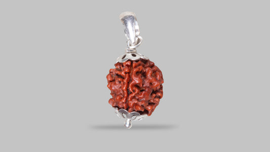 4 MUKHI RUDRAKSHA (17.65 mm)