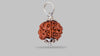 6 MUKHI RUDRAKSHA (18.97 mm)
