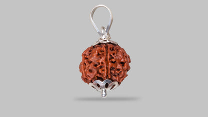 6 MUKHI RUDRAKSHA (18.97 mm)