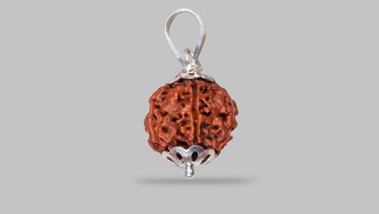 6 MUKHI RUDRAKSHA (18.97 mm)
