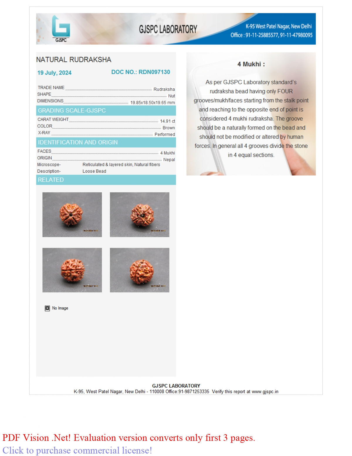 4 MUKHI RUDRAKSHA (19.85 mm)