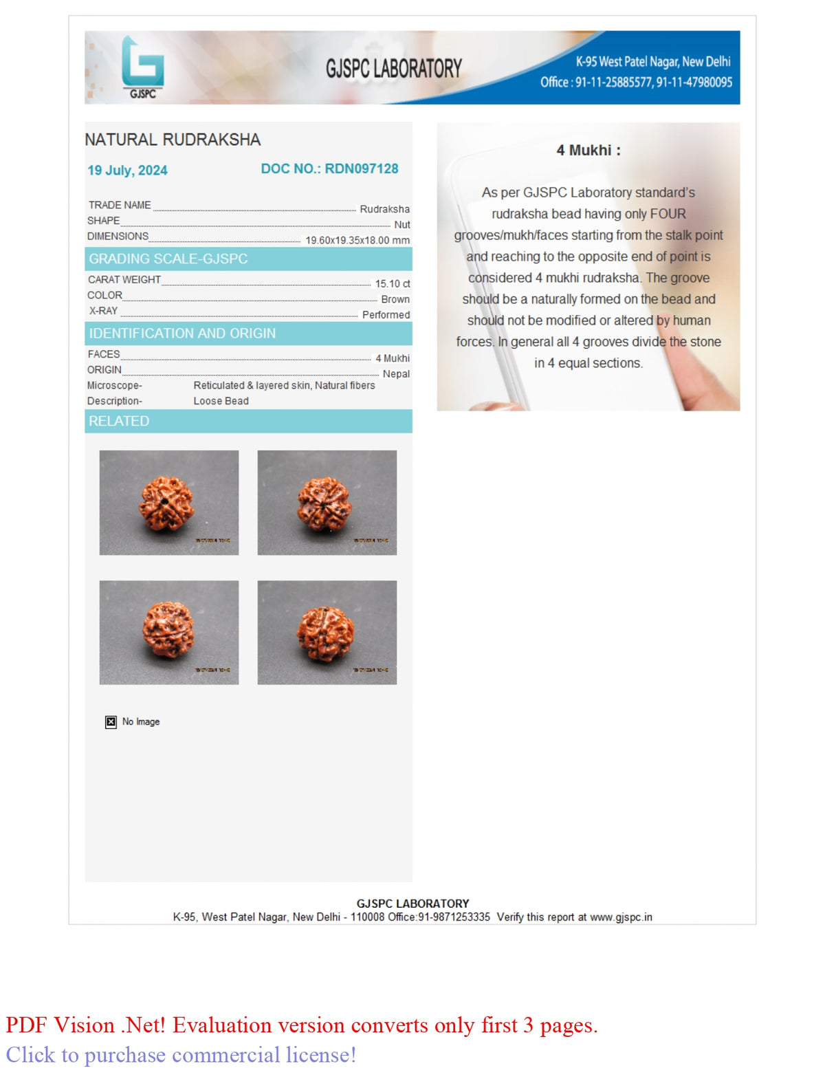 4 MUKHI RUDRAKSHA (19.60 mm)