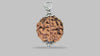5 MUKHI RUDRAKSHA (21.88 mm)